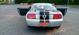 Ford Mustang GT V8  4.6 S197 - Ford Mustang aus 2004