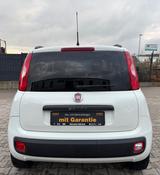Fiat Panda Lounge/Unfallfrei/Wenig km - Fiat Gebrauchtwagen in Wiesbaden