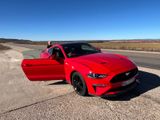Ford Mustang 5.0 Ti-VCT V8 GT Auto GT - Ford Mustang in Frankfurt (Main)