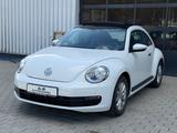 Volkswagen Beetle Lim. 1.2TSI 105PS/PANO/KLIMA/TÜV AU Neu! - Volkswagen Beetle mit Benzin-Antrieb: Limousine