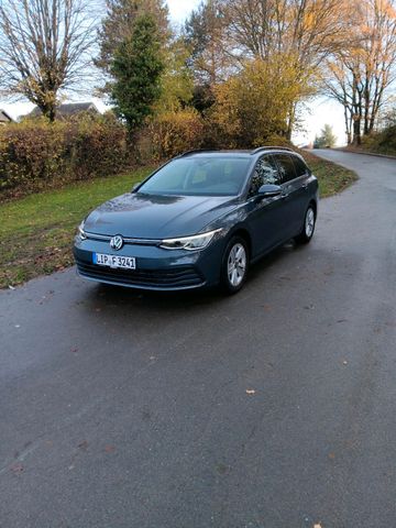 Volkswagen VW Golf VIII Variant eTSI