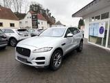 Jaguar F-Pace F-PACE Portfolio AWD - Jaguar aus 2017