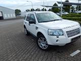 Land Rover Freelander i6 HSE HSE - Land Rover Freelander mit Panoramadach