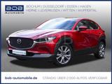 Mazda CX-30 Selection NAVI SHZ PDC KLIMA - Mazda CX-30 in Duisburg