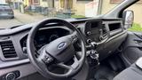 Ford Transit Custom - Ford: Firmenfahrzeug