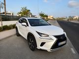 Lexus NX 350h - weiße Lexus NX-Serie