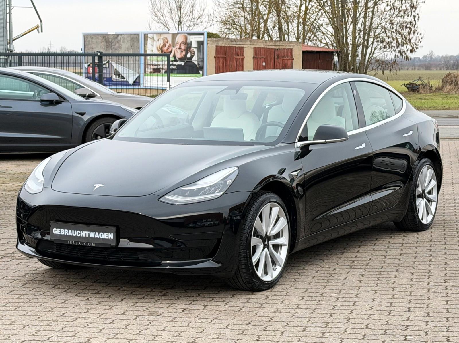 Tesla Model 3 Standard Plus 1.Hand AHK Leder Weiß