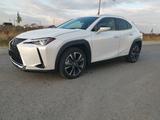 Lexus UX 250h Style Edition  - Lexus UX von privat