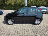 Fiat Panda | 5 Sitzer | Radio | PDC | Tempomat - Fiat Panda: Sitzer