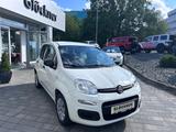 Fiat New Panda Pop 1.2 8V 5 - Fiat New Panda Gebrauchtwagen