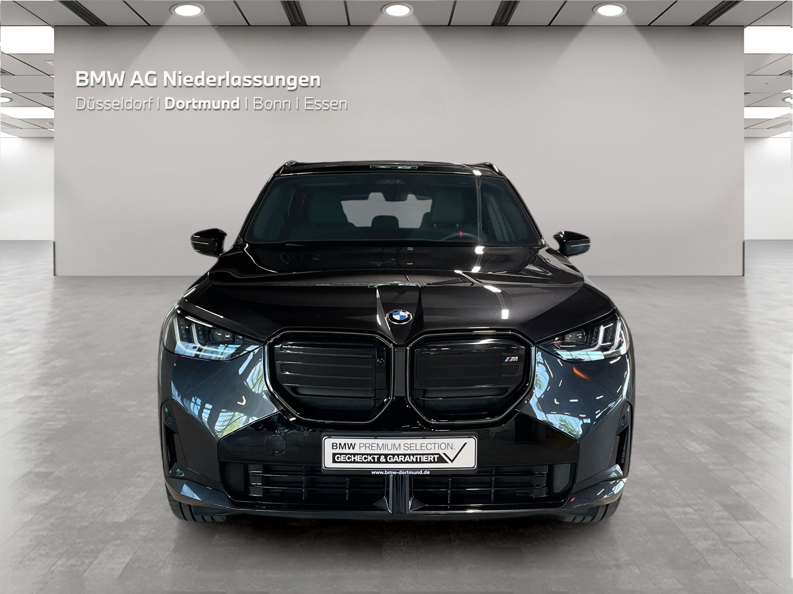 BMW X3 M50 - Bild 8