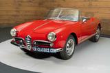 Alfa Romeo Spider Guilietta Cabrio - 1961 - Alfa Romeo Oldtimer: Cabrio