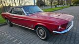 Ford Mustang V8 Cabrio - Ford Mustang Oldtimer: Roadster