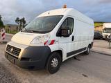 Fiat Ducato Hochr.-Kasten 35 130 L2H2 SORTIMO - Fiat Ducato mit Diesel-Antrieb: Kombi