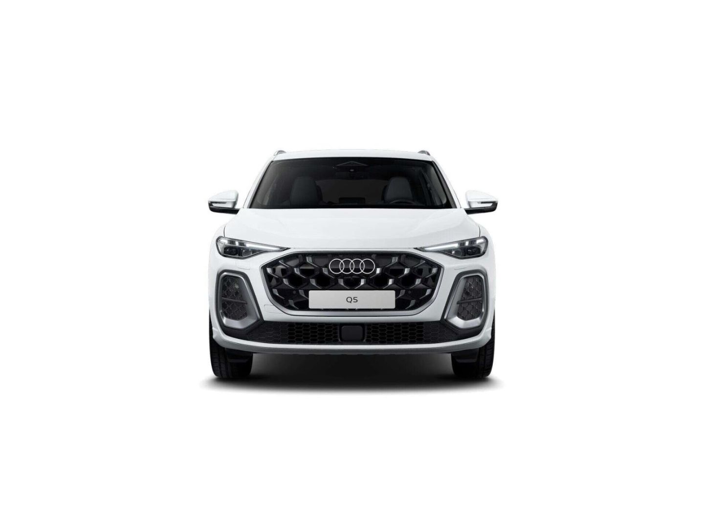 Audi Q5 TDI quattro S line AHK 20'' RFK Memory foto 4