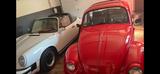 Volkswagen Käfer - Volkswagen Käfer Gebrauchtwagen
