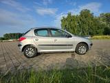 Peugeot 206 - Peugeot 206 in Mainz