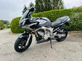Yamaha Fz6 RJ14 - YAMAHA 2009 FZ1
