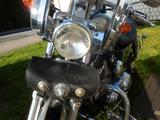 Harley-Davidson XL 1200 Sportster Custom. Jubiläumsmodell 100 J. - HARLEY-DAVIDSON 2003 SPORTSTER 1200