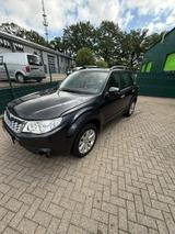 Subaru Forester 2.0 Comfort Automatik AWD ... - Subaru Forester von privat