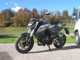 Honda CB750 Hornet nur 500 KM - HONDA 750 CB