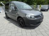 Volkswagen Caddy Kasten/Kombi Roncalli Trendline - Volkswagen Caddy mit Benzin-Antrieb: Roncalli