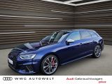 Audi S4 Avant 3.0 TDI quattro Tiptronic Matrix Pano - Audi S4 aus 2023