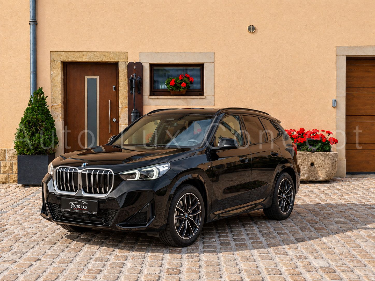 BMW X1 sDrive20d M Sport