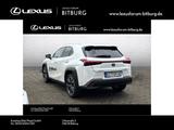 Lexus UX 250h Style Edition /ACC/FLA/ParkAss./SHZ/LM - Lexus