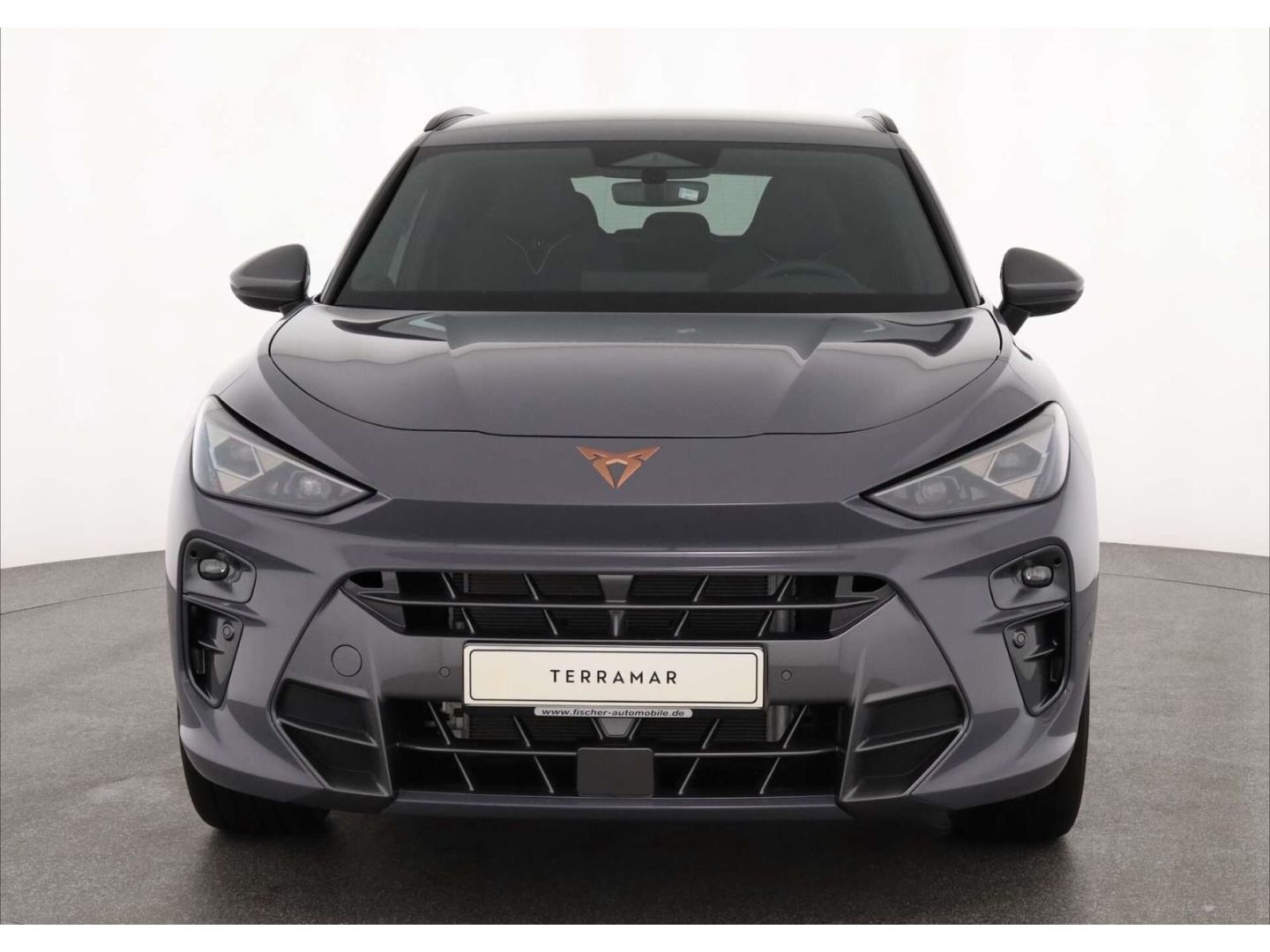 Cupra Terramar - Bild 3