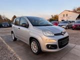 Fiat Panda Easy Sportsitze Sport Lenkrad - Fiat Panda Sport mit Benzin-Antrieb
