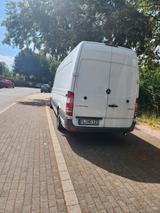 Mercedes-Benz Sprinter 316 Kühlwagen Kühlfahrzeug bis 3,5 T  - Offers