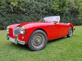 Austin Healey 100-4 LM, BN1  - Austin Healey: Bn1