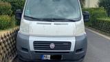 Fiat Sprinter Fiat Ducato - Fiat Ducato in Ludwigshafen