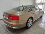 Audi A8 4.2 FSI qu. "SAUGER" Audi-Exclusive Nur 69Tkm - Audi A8: Limousine