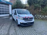 Fiat Talento Regalsystem,Zusatz Luftfederung, RFK - weiße Fiat Talento