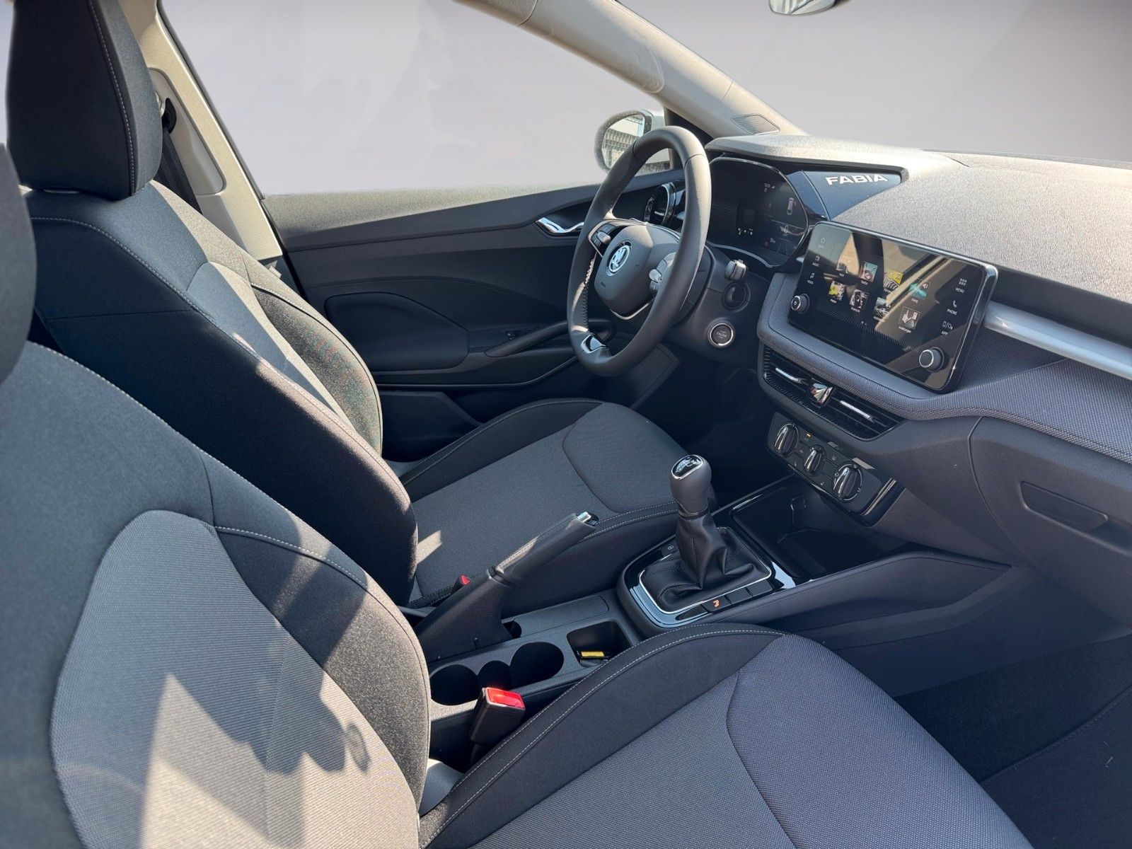 Fahrzeugabbildung SKODA Fabia Selection 1.0TSI