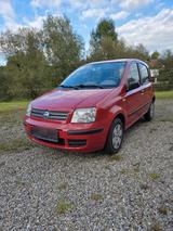 Fiat Panda 1.2 - Gepflegt, wenig km, HU ne... - Fiat Panda Kleinwagen Km h mit Benzin-Antrieb