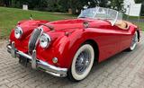 Jaguar XK 140 OTS - Jaguar XK aus 1954