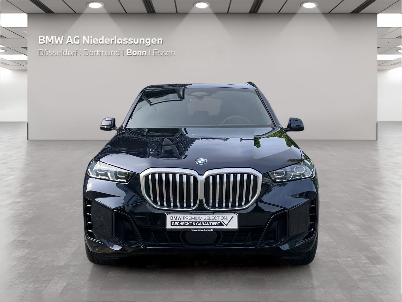 BMW X5 - Bild 8