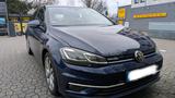 Volkswagen VW Golf VII 1,5 Blue Motion BJ 2019 - Volkswagen Golf: Bj