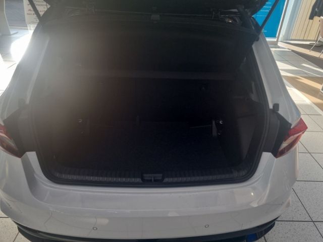Fahrzeugabbildung SKODA Fabia 1.0 TSI Monte Carlo COLOUR CONCEPT WINTER