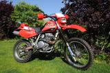 Honda XR600 - HONDA XR