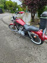 Harley-Davidson Sportster 883C XL2 mit neuem TÜV - HARLEY-DAVIDSON 2006 883 SPORTSTER