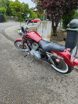 Harley-Davidson Sportster 883C XL2 mit neuem TÜV - HARLEY-DAVIDSON 2006 883 SPORTSTER