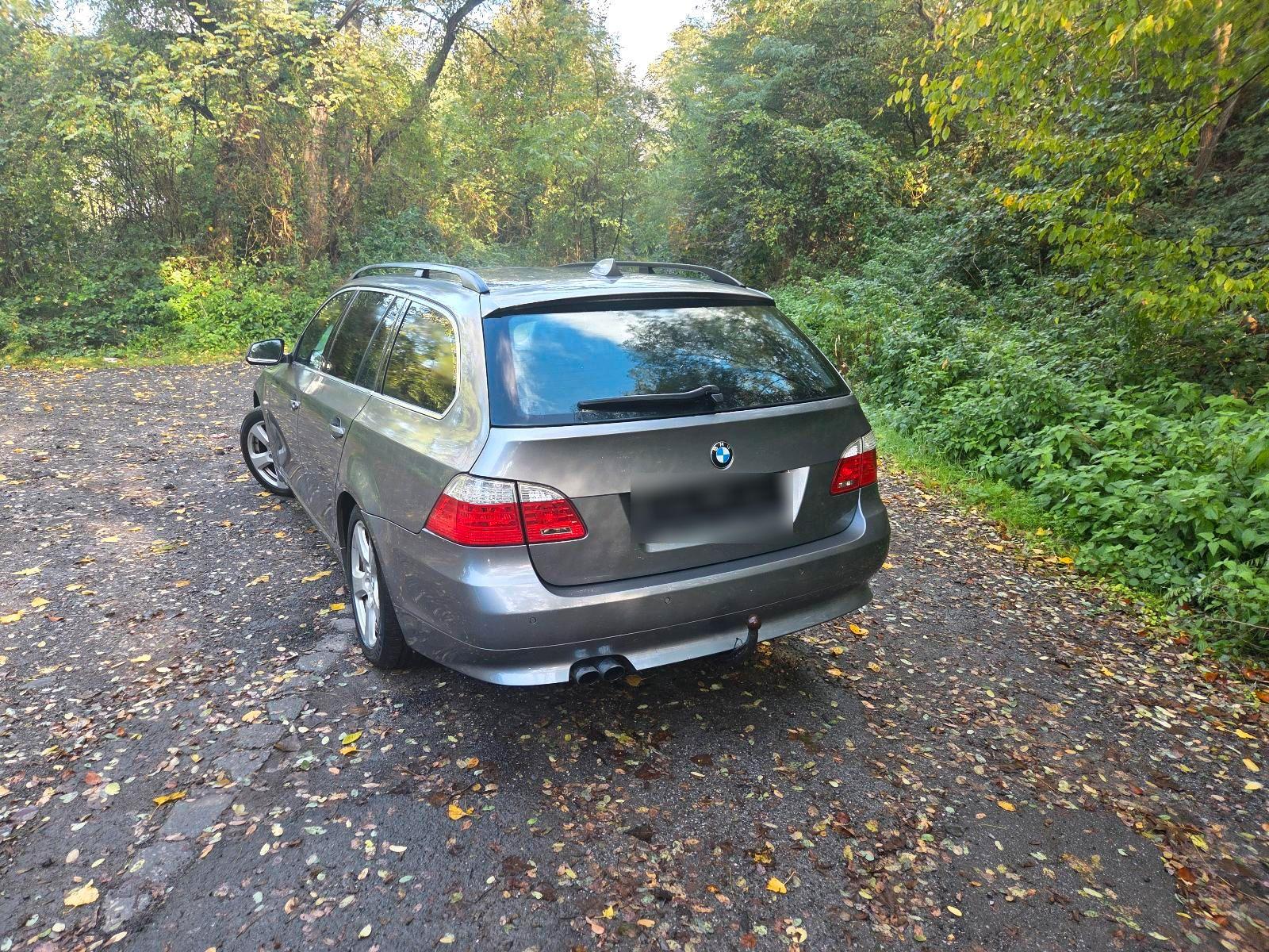 BMW 530 2009 — вигляд ззаду