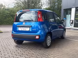 Fiat Panda Pandina 1.0 firefly Hybrid Pop - Fiat Panda in Hagen