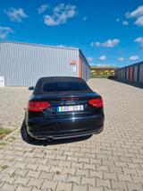Audi Cabriolet A3 / S3 Styl mit Standheizung  - Audi Cabriolet mit Diesel-Antrieb: Automatik