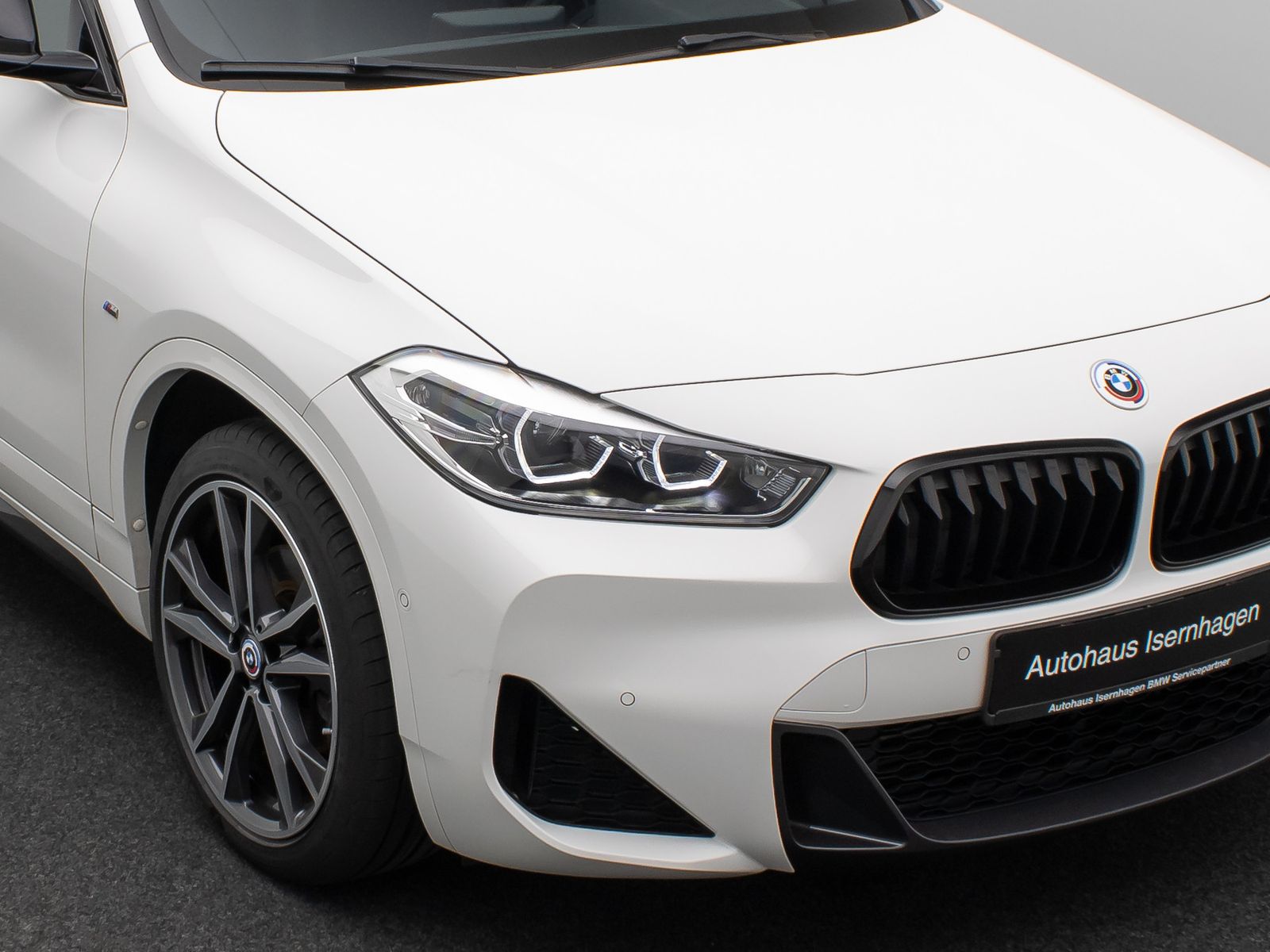 Fahrzeugabbildung BMW X2 sD18d M Sport DAB Kamera LED ParkAss Navi 19"