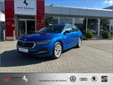 Skoda Octavia 2.0 TDI Selection Plus Kamera*Head-UP - Skoda aus 2024